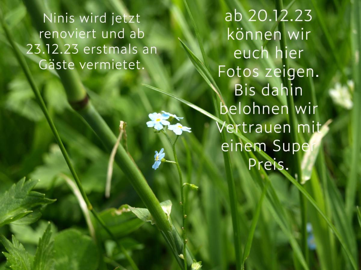 Ninis - Ferienhaus Im Bregenzerwald 艾格 外观 照片